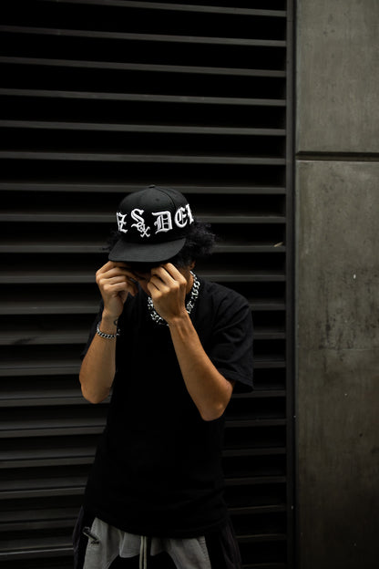 South Side Fitted Hat