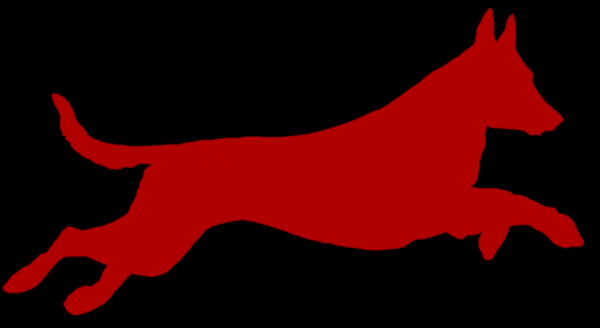 Neighborhood Delinquentz